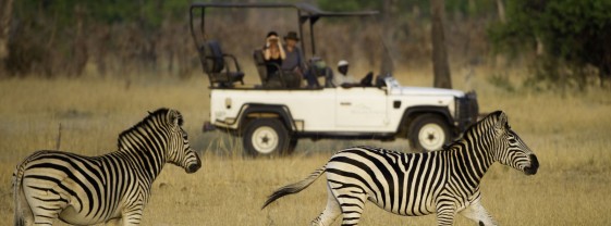 game-drive-little-makalolo-hwange-national-park-zimbabwe-11-safari